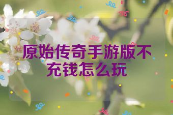 原始传奇手游版不充钱怎么玩