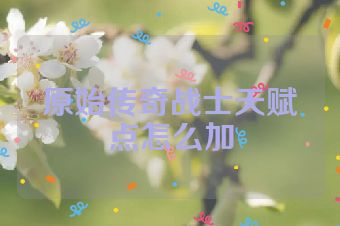 原始传奇战士天赋点怎么加