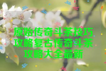 原始传奇斗茶技巧攻略复古传奇斗茶攻略大全最新