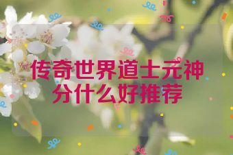 传奇世界道士元神分什么好推荐