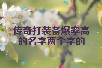 传奇打装备爆率高的名字两个字的