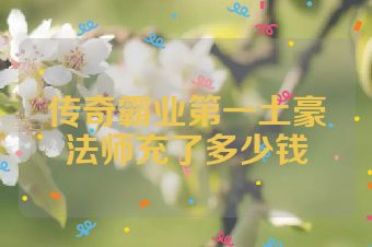 传奇霸业第一土豪法师充了多少钱