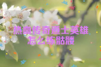 热血传奇道士英雄怎么练骷髅