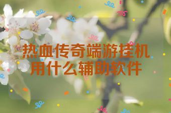 热血传奇端游挂机用什么辅助软件