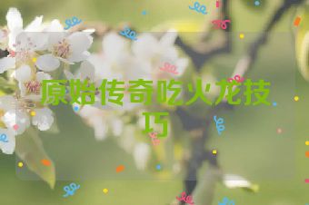 原始传奇吃火龙技巧
