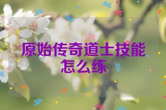 原始传奇道士技能怎么练