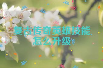 复古传奇英雄技能怎么升级