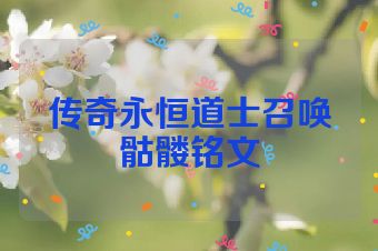 传奇永恒道士召唤骷髅铭文
