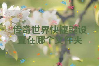 传奇世界快捷键设置在哪个文件夹