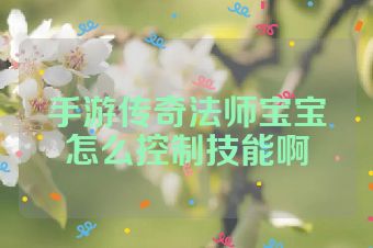 手游传奇法师宝宝怎么控制技能啊