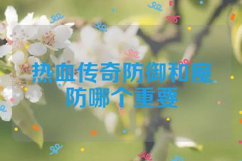 热血传奇防御和魔防哪个重要