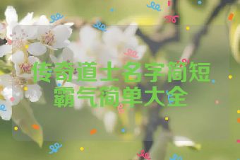 传奇道士名字简短霸气简单大全