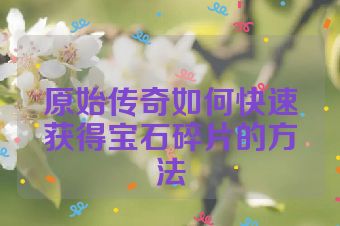 原始传奇如何快速获得宝石碎片的方法