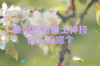 原始传奇道士神技优先搞哪个