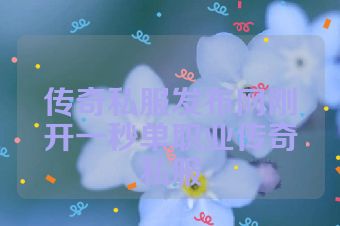 传奇私服发布网刚开一秒单职业传奇私服