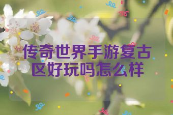 传奇世界手游复古区好玩吗怎么样