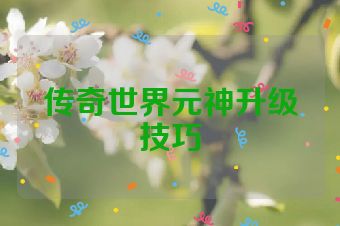 传奇世界元神升级技巧