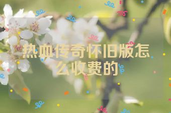 热血传奇怀旧版怎么收费的