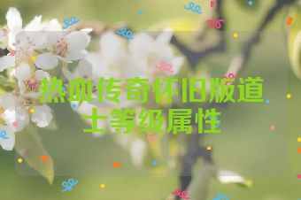 热血传奇怀旧版道士等级属性