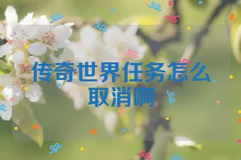 传奇世界任务怎么取消啊