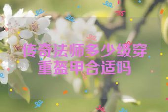 传奇法师多少级穿重盔甲合适吗