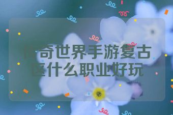 传奇世界手游复古区什么职业好玩