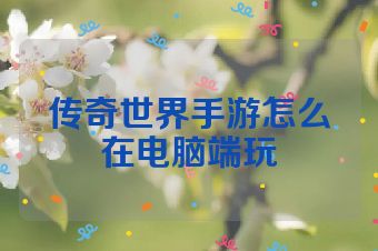传奇世界手游怎么在电脑端玩