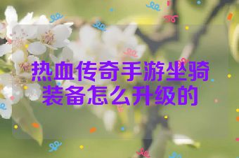 热血传奇手游坐骑装备怎么升级的