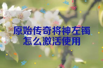 原始传奇将神左镯怎么激活使用