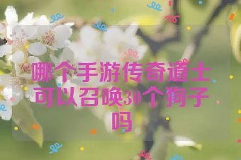 哪个手游传奇道士可以召唤30个狗子吗