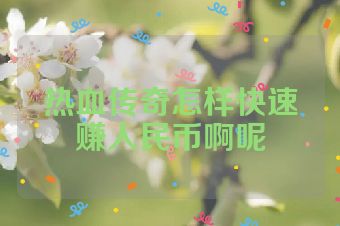 热血传奇怎样快速赚人民币啊呢