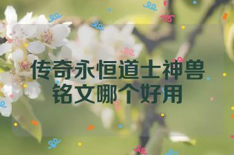 传奇永恒道士神兽铭文哪个好用