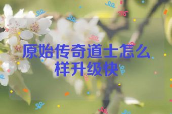 原始传奇道士怎么样升级快