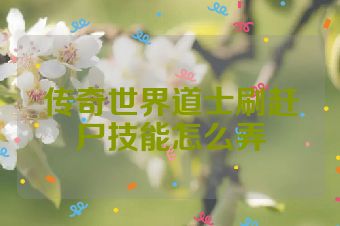 传奇世界道士刷赶尸技能怎么弄