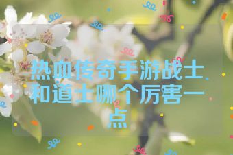 热血传奇手游战士和道士哪个厉害一点