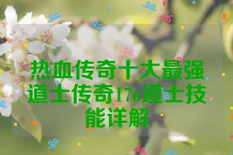 热血传奇十大最强道士传奇176道士技能详解