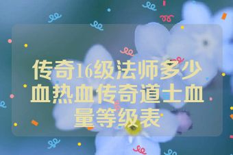 传奇16级法师多少血热血传奇道士血量等级表