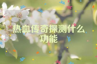热血传奇探测什么功能