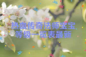 热血传奇法师宝宝等级一览表最新