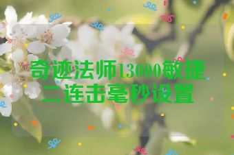奇迹法师13000敏捷二连击毫秒设置