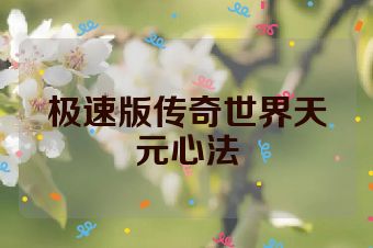 极速版传奇世界天元心法