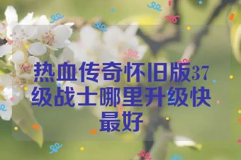 热血传奇怀旧版37级战士哪里升级快最好