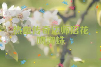 热血传奇法师招花吻蜘蛛