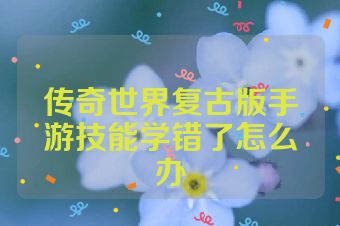 传奇世界复古版手游技能学错了怎么办