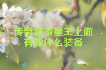 传奇装备星王上面有些什么装备