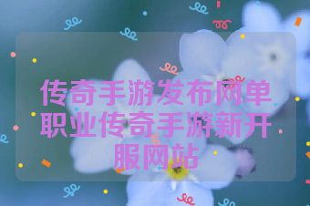 传奇手游发布网单职业传奇手游新开服网站