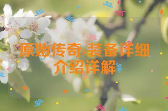 原始传奇s装备详细介绍详解
