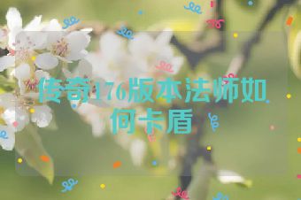 传奇176版本法师如何卡盾
