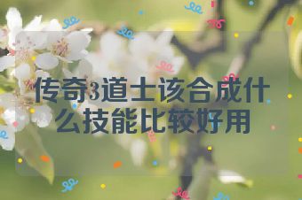 传奇3道士该合成什么技能比较好用