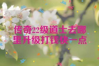 传奇22级道士去哪里升级打钱快一点